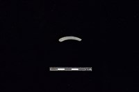 陶環藏品圖，第1張